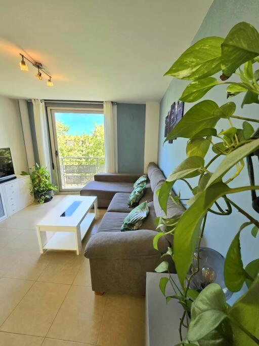 Appartement Pont De Ferro Sun Flat à Benicàssim Extérieur photo